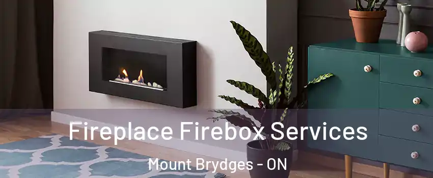  Fireplace Firebox Services Mount Brydges - ON