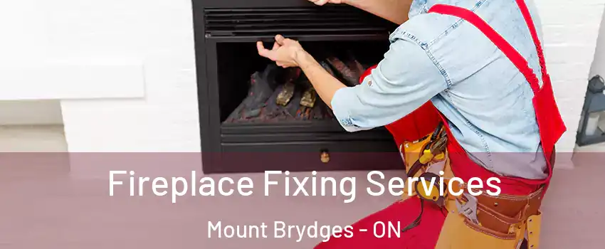  Fireplace Fixing Services Mount Brydges - ON