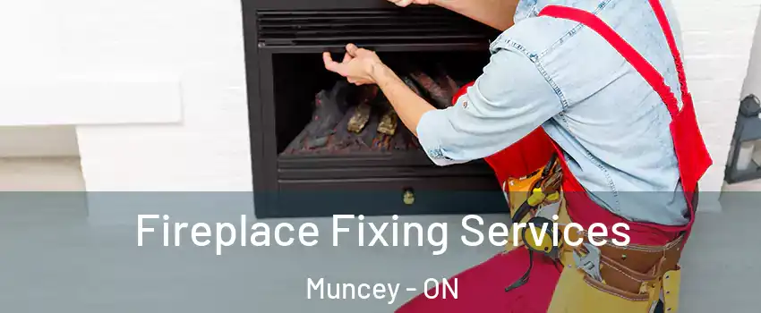  Fireplace Fixing Services Muncey - ON