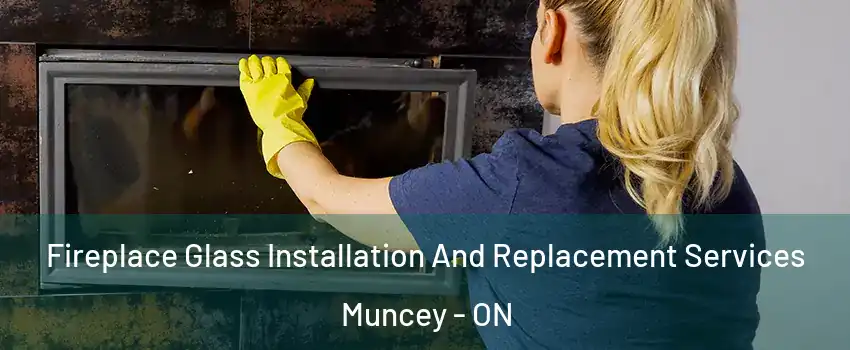  Fireplace Glass Installation And Replacement Services Muncey - ON