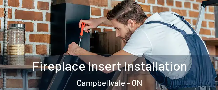  Fireplace Insert Installation Campbellvale - ON