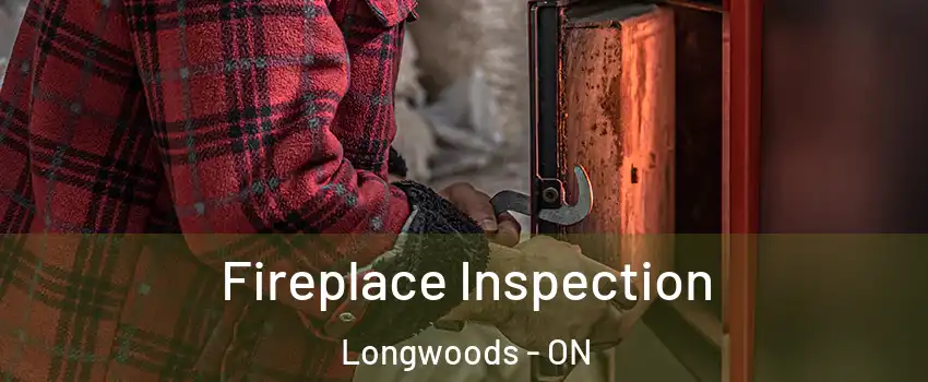  Fireplace Inspection Longwoods - ON