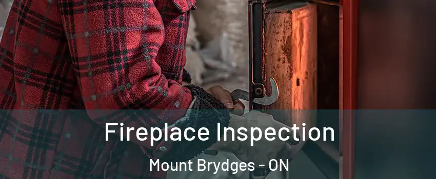  Fireplace Inspection Mount Brydges - ON