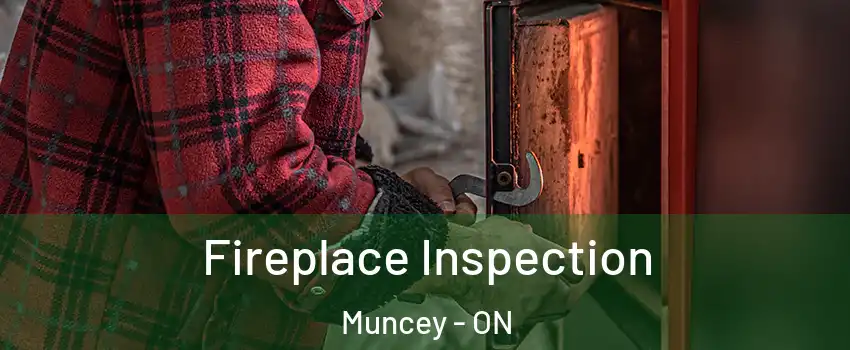  Fireplace Inspection Muncey - ON