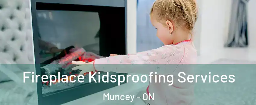  Fireplace Kidsproofing Services Muncey - ON