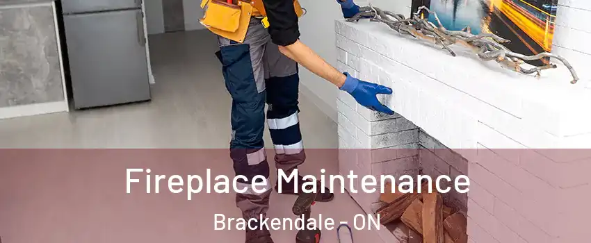  Fireplace Maintenance Brackendale - ON