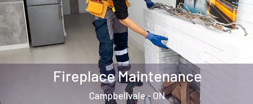  Fireplace Maintenance Campbellvale - ON