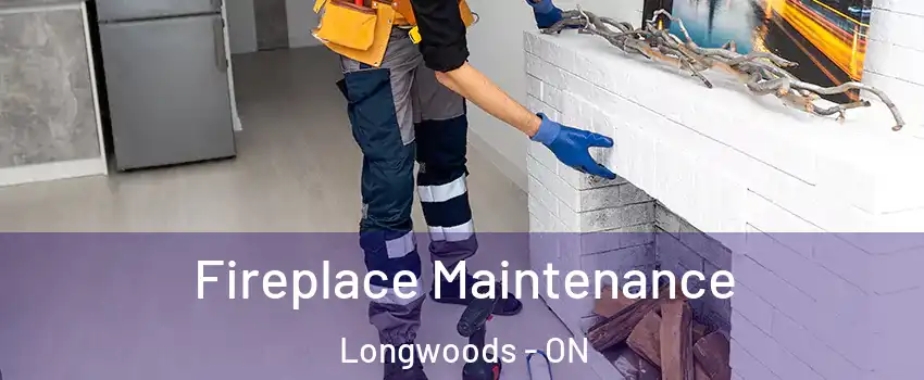  Fireplace Maintenance Longwoods - ON