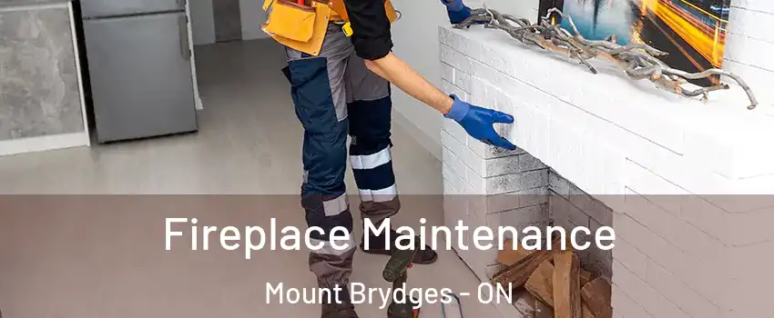  Fireplace Maintenance Mount Brydges - ON