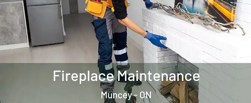  Fireplace Maintenance Muncey - ON