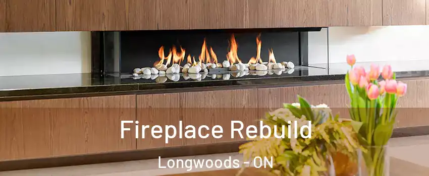  Fireplace Rebuild Longwoods - ON