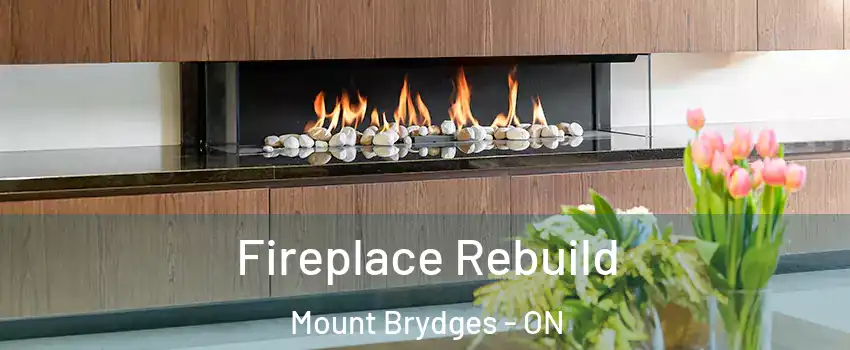  Fireplace Rebuild Mount Brydges - ON