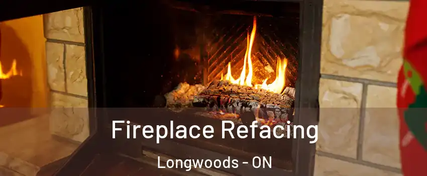  Fireplace Refacing Longwoods - ON