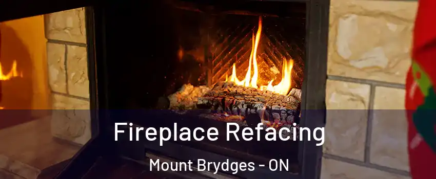  Fireplace Refacing Mount Brydges - ON