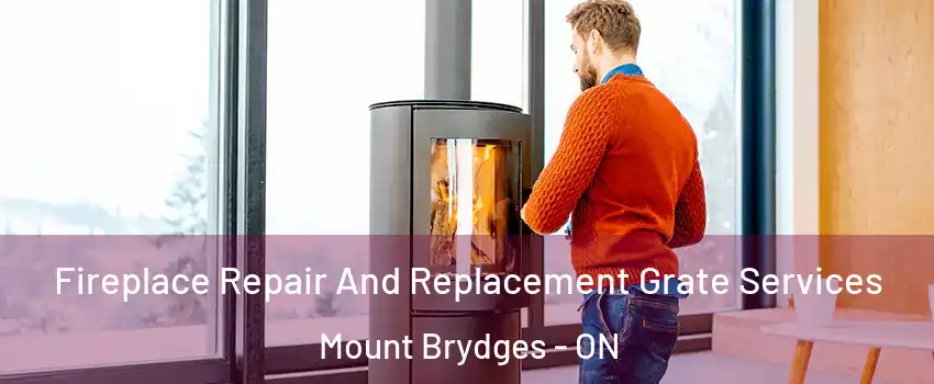  Fireplace Repair And Replacement Grate Services Mount Brydges - ON