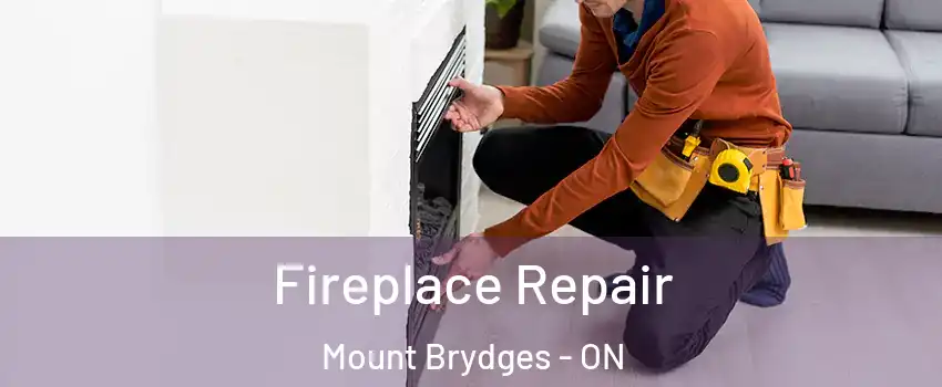  Fireplace Repair Mount Brydges - ON