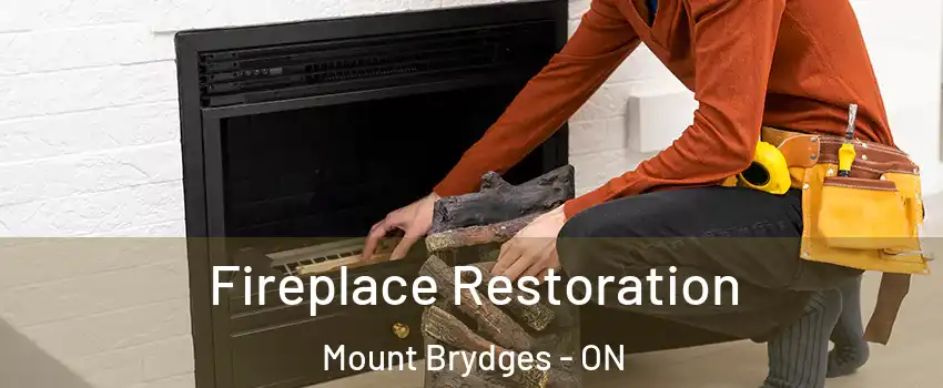  Fireplace Restoration Mount Brydges - ON