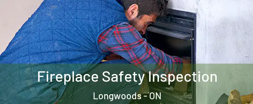  Fireplace Safety Inspection Longwoods - ON