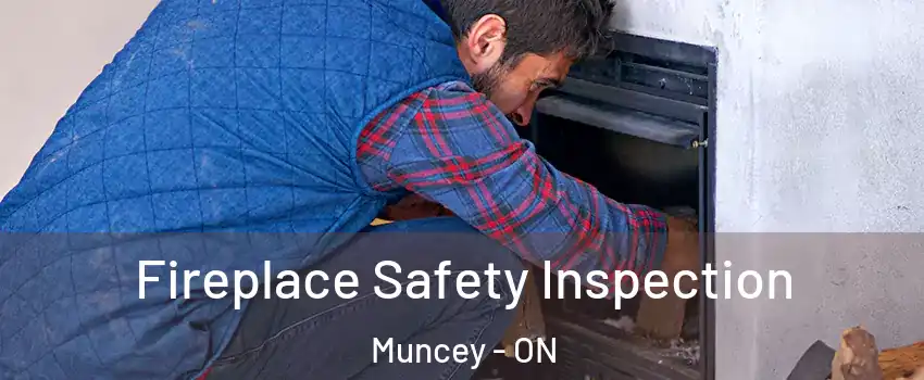  Fireplace Safety Inspection Muncey - ON