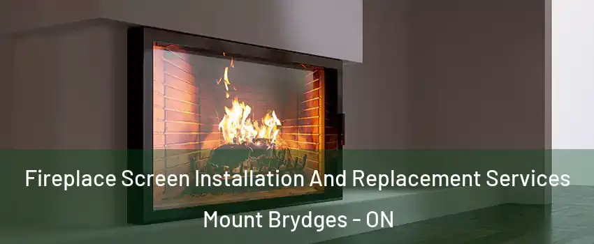  Fireplace Screen Installation And Replacement Services Mount Brydges - ON