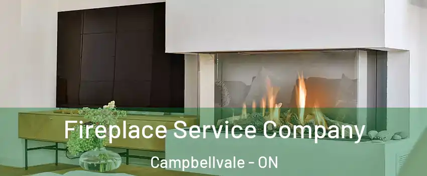 Fireplace Service Company Campbellvale - ON