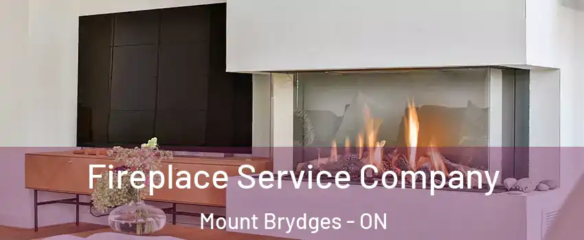  Fireplace Service Company Mount Brydges - ON