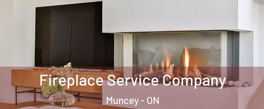 Fireplace Service Company Muncey - ON