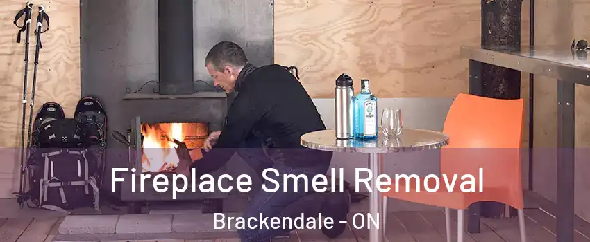  Fireplace Smell Removal Brackendale - ON