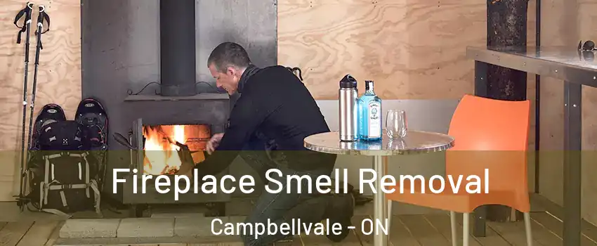  Fireplace Smell Removal Campbellvale - ON