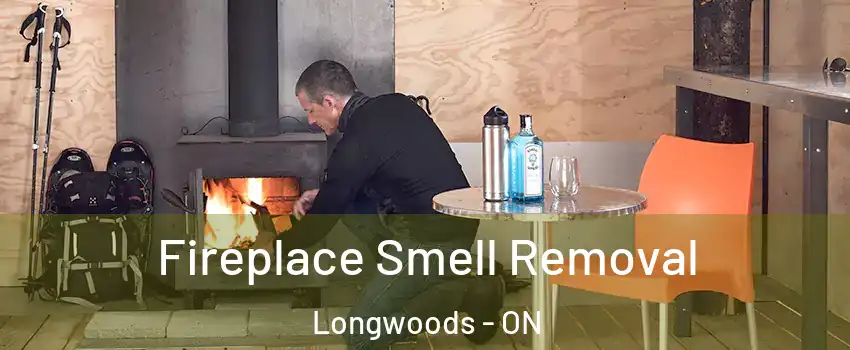  Fireplace Smell Removal Longwoods - ON