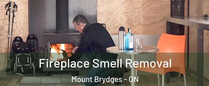  Fireplace Smell Removal Mount Brydges - ON
