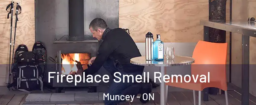  Fireplace Smell Removal Muncey - ON