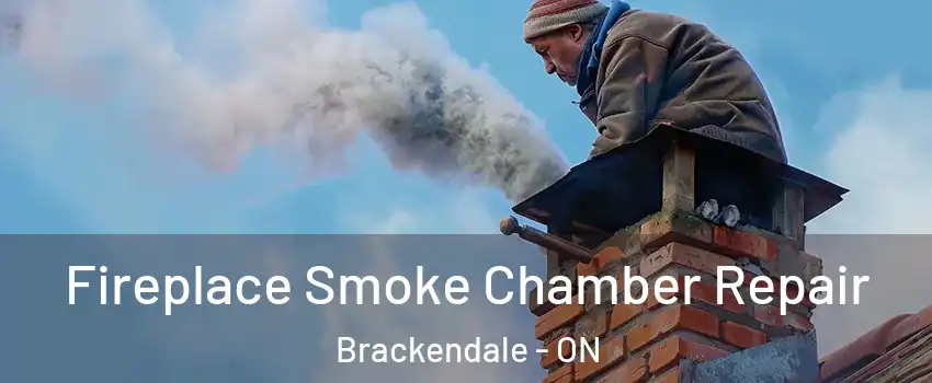  Fireplace Smoke Chamber Repair Brackendale - ON