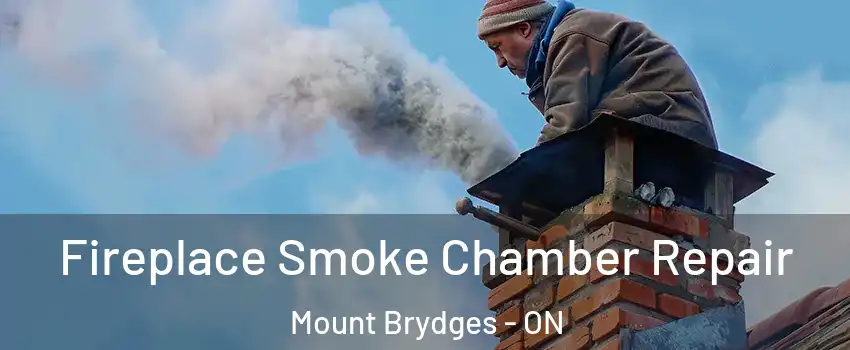  Fireplace Smoke Chamber Repair Mount Brydges - ON