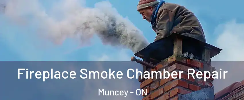  Fireplace Smoke Chamber Repair Muncey - ON
