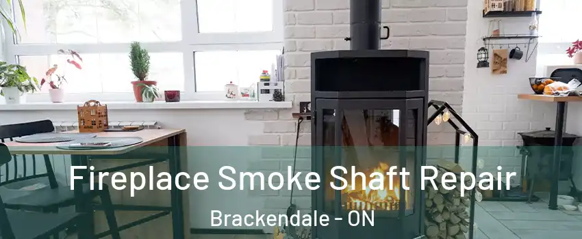  Fireplace Smoke Shaft Repair Brackendale - ON