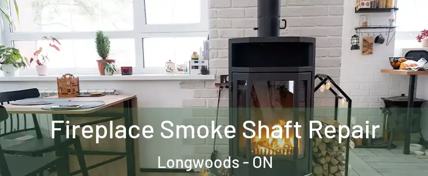  Fireplace Smoke Shaft Repair Longwoods - ON