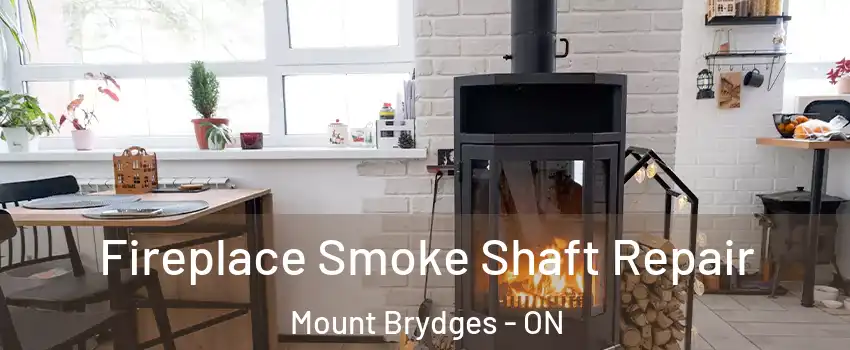  Fireplace Smoke Shaft Repair Mount Brydges - ON