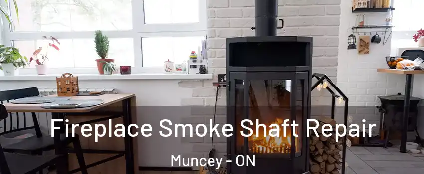  Fireplace Smoke Shaft Repair Muncey - ON