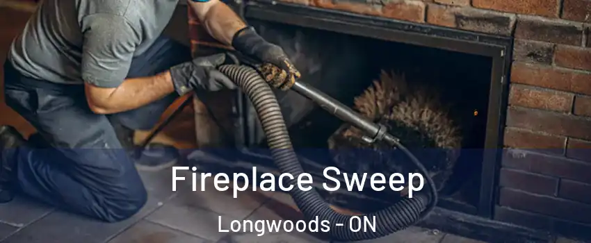  Fireplace Sweep Longwoods - ON