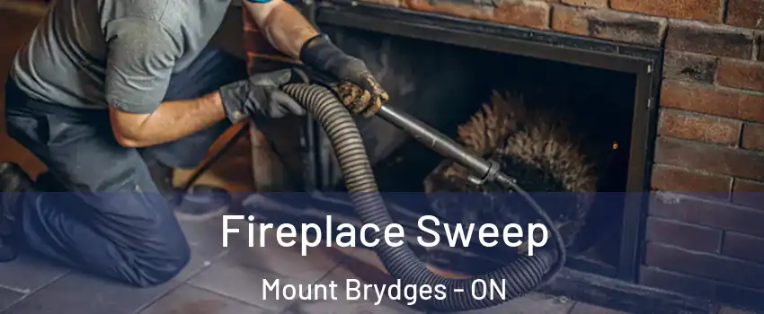  Fireplace Sweep Mount Brydges - ON