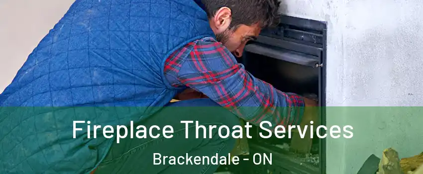  Fireplace Throat Services Brackendale - ON