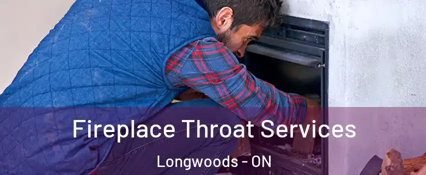  Fireplace Throat Services Longwoods - ON