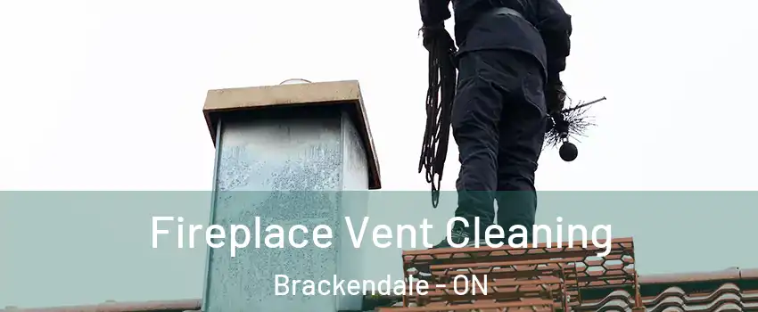  Fireplace Vent Cleaning Brackendale - ON