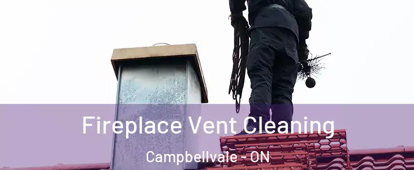  Fireplace Vent Cleaning Campbellvale - ON