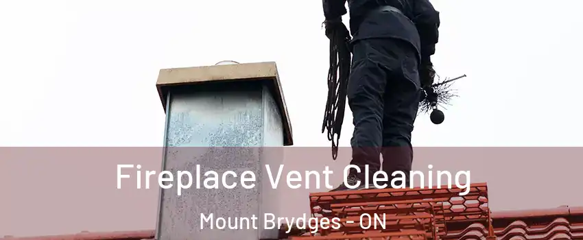  Fireplace Vent Cleaning Mount Brydges - ON