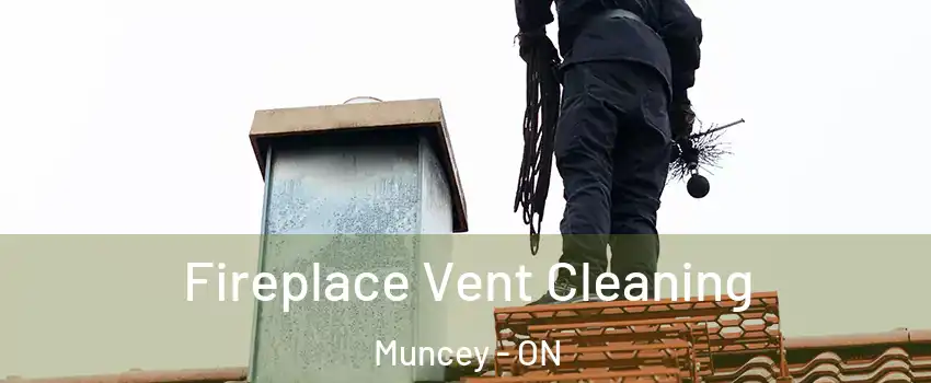  Fireplace Vent Cleaning Muncey - ON