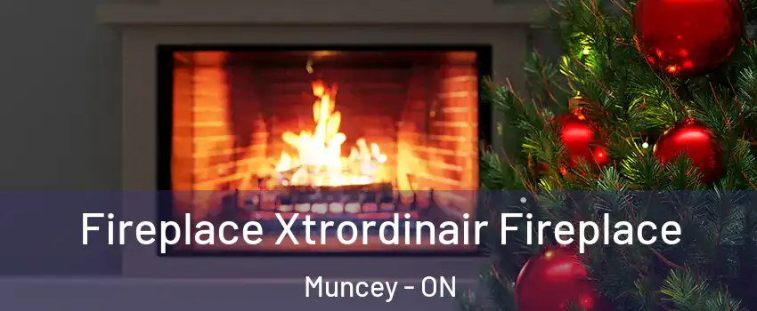  Fireplace Xtrordinair Fireplace Muncey - ON