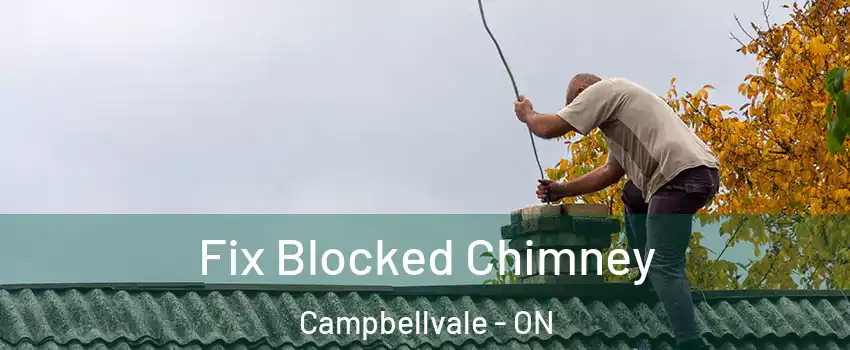  Fix Blocked Chimney Campbellvale - ON