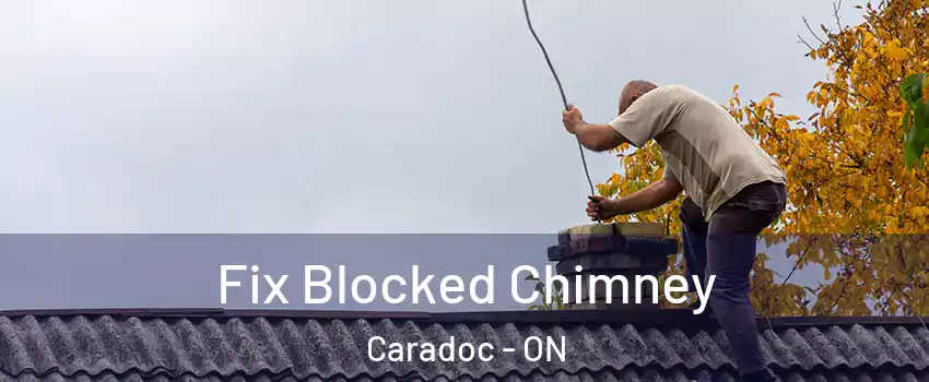  Fix Blocked Chimney Caradoc - ON